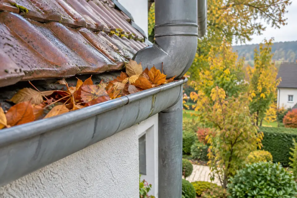 Herbstlaub in einer Regenrinne neben dem Einlauf eines Fallrohrs an einem Wohnhaus